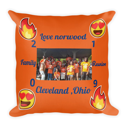 Family Reunion 2019 Susie's Generations Pillow